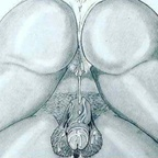 Leaked tittiman onlyfans leaked