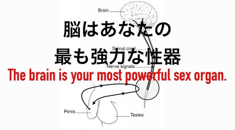 Leaked toshi011 header onlyfans leaked