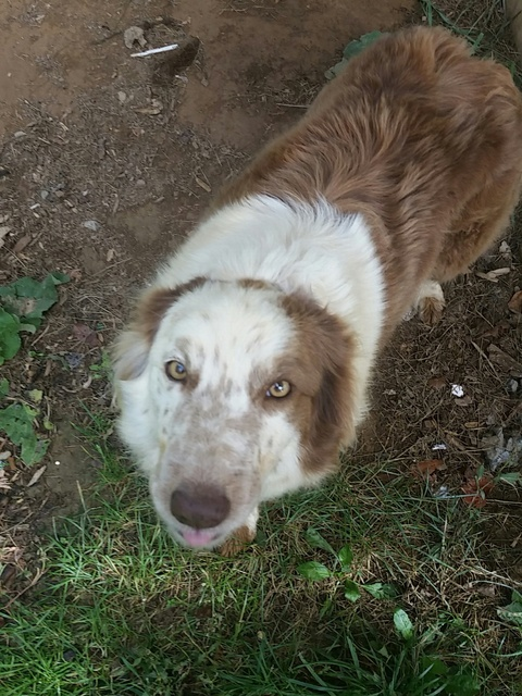 Leaked transgirllei header onlyfans leaked