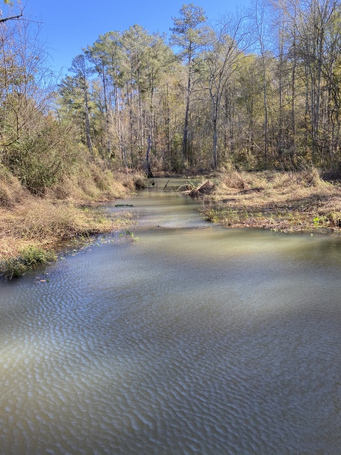 Leaked trendymatty header onlyfans leaked