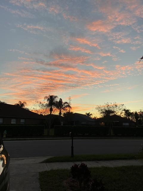 Leaked tristynnhane header onlyfans leaked