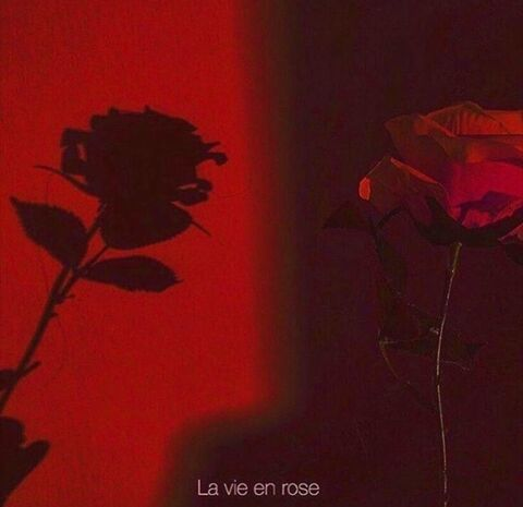 Leaked ts.alexis header onlyfans leaked