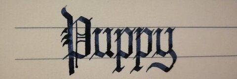 Leaked tttttee101 header onlyfans leaked