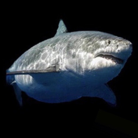 Leaked twink_tyler header onlyfans leaked