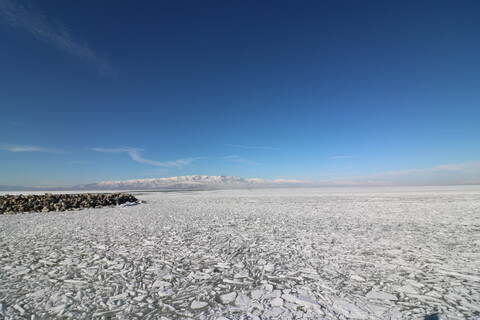 Leaked ty_love22 header onlyfans leaked