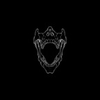 tylersteven94 Profile Picture