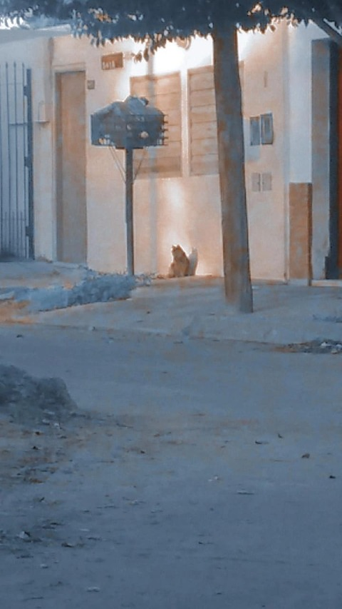 Leaked u107869947 header onlyfans leaked