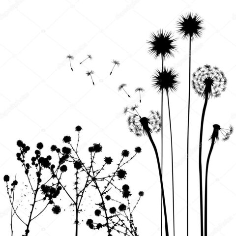 Leaked u108669701 header onlyfans leaked