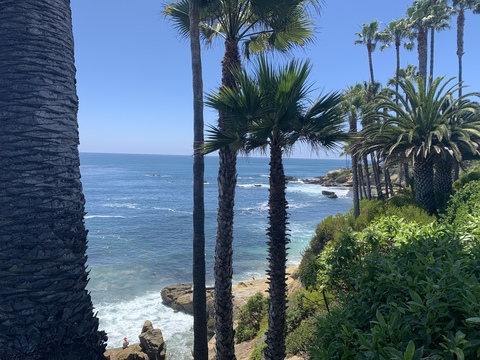 Leaked u119542590 header onlyfans leaked