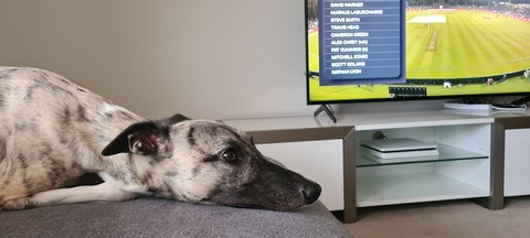 Leaked u12384934 header onlyfans leaked