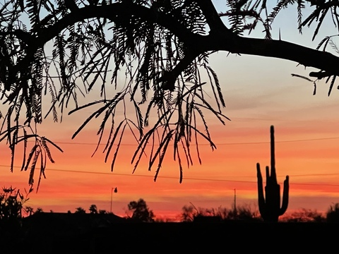 Leaked u137392402 header onlyfans leaked