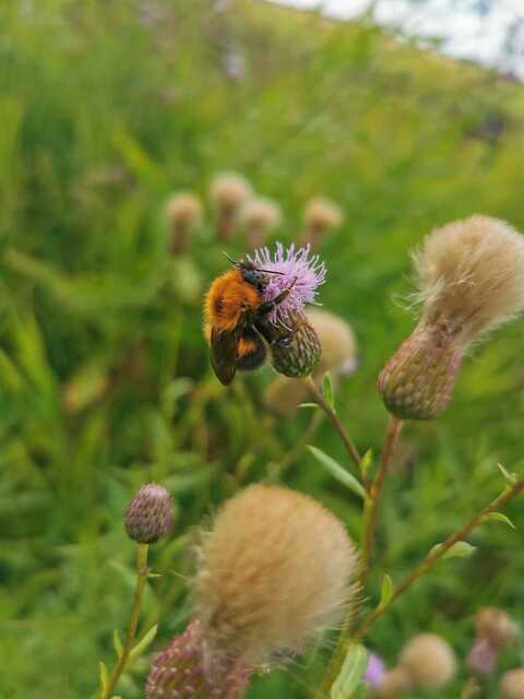 Leaked u138413760 header onlyfans leaked