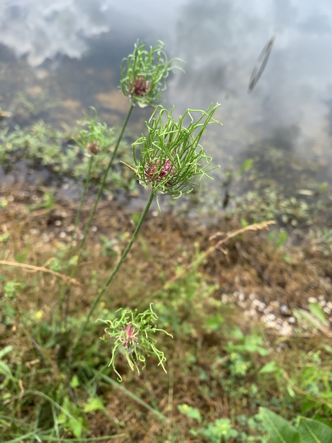 Leaked u153343250 header onlyfans leaked