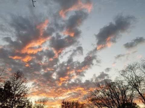 Leaked u155380924 header onlyfans leaked