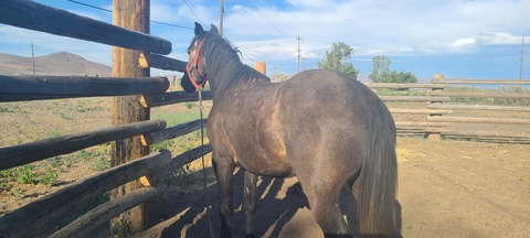 Leaked u156941121 header onlyfans leaked