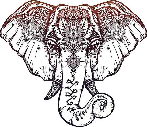 Leaked u176340503 header onlyfans leaked