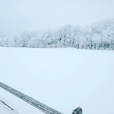 Leaked u17655522 header onlyfans leaked