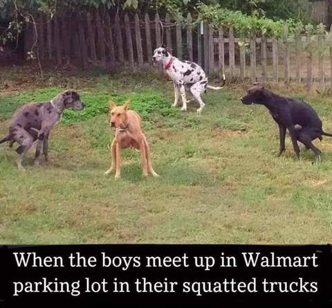 Leaked u20316684 header onlyfans leaked