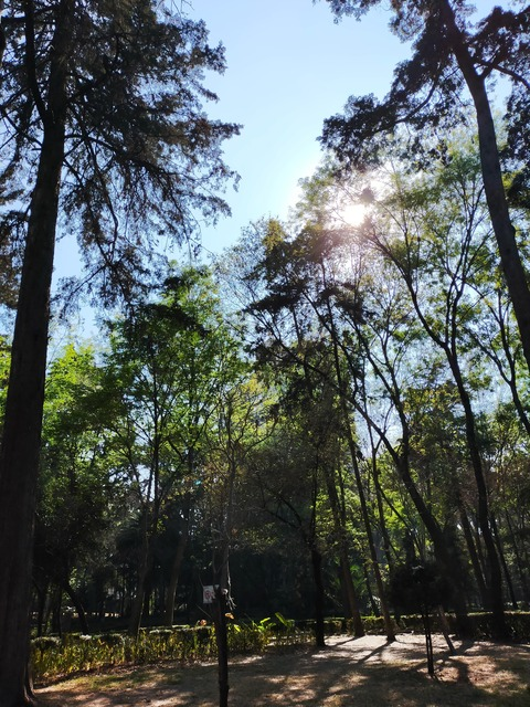 Leaked u217045947 header onlyfans leaked