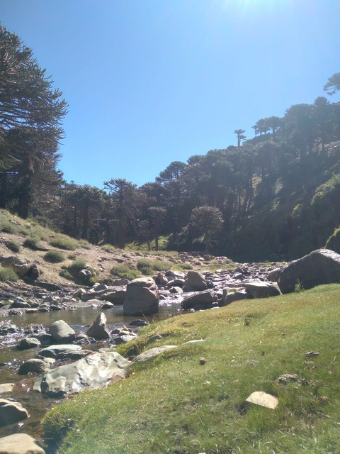 Leaked u220048001 header onlyfans leaked