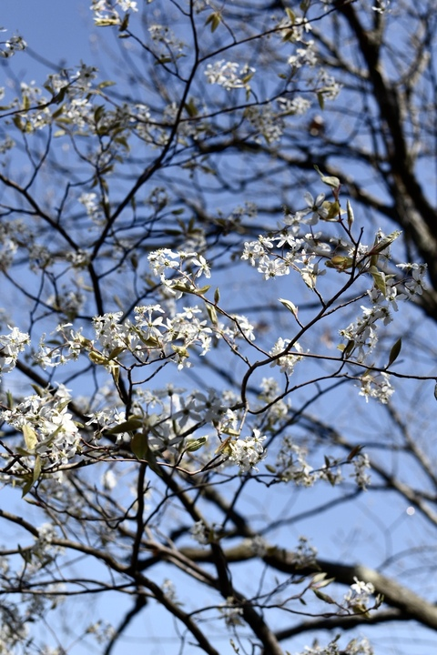 Leaked u22437323 header onlyfans leaked