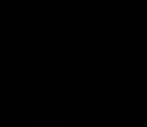 Leaked u22596410 header onlyfans leaked