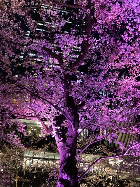 Leaked u228737344 header onlyfans leaked