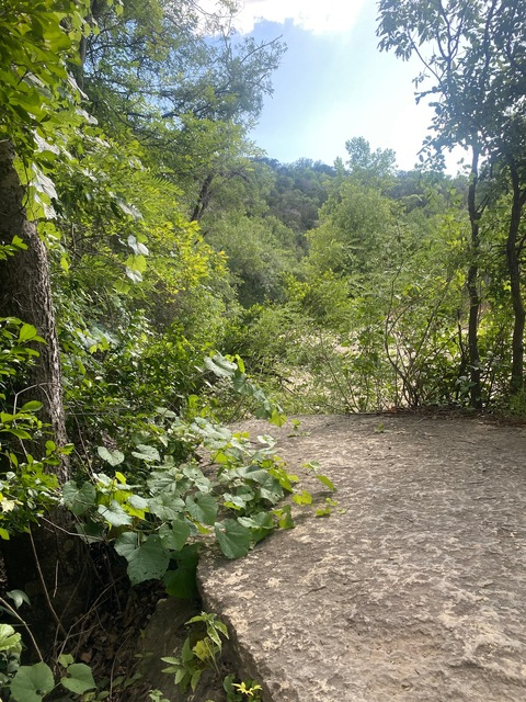 Leaked u240119546 header onlyfans leaked