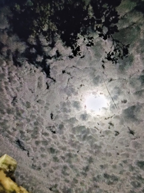 Leaked u240444184 header onlyfans leaked