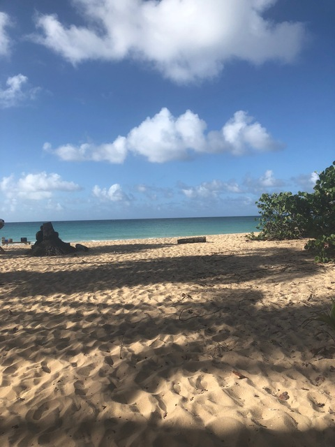 Leaked u254978889 header onlyfans leaked