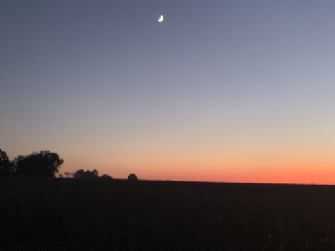 Leaked u28403452 header onlyfans leaked