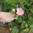 Leaked u327184736 onlyfans leaked