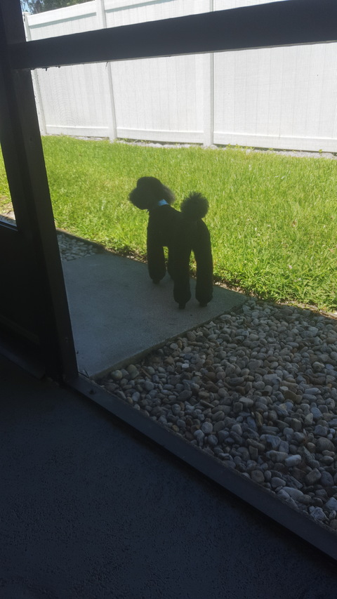 Leaked u34427655 header onlyfans leaked