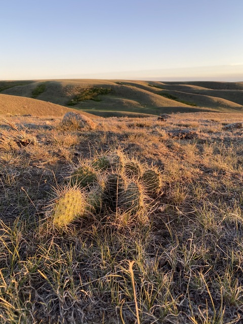 Leaked u3937128 header onlyfans leaked