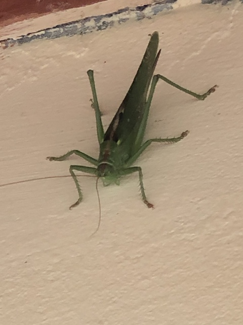 Leaked u39553730 header onlyfans leaked