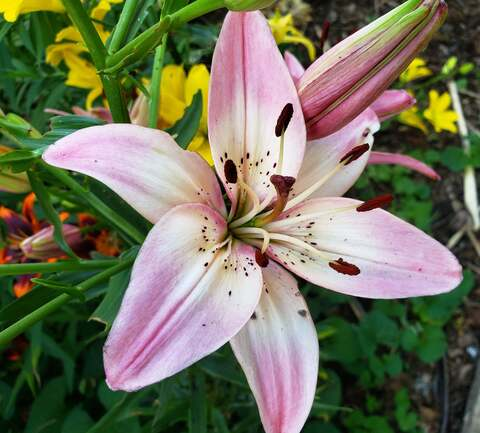 Leaked u48687638 header onlyfans leaked