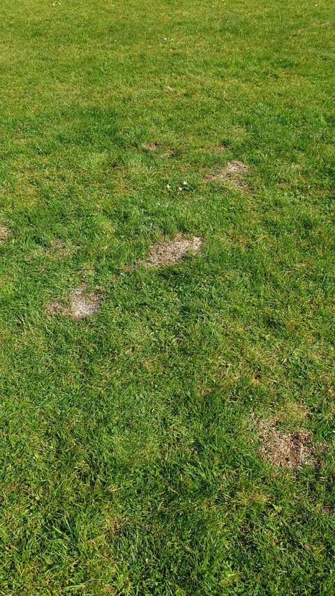 Leaked u5422108 header onlyfans leaked