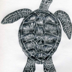 Leaked u62758509 onlyfans leaked