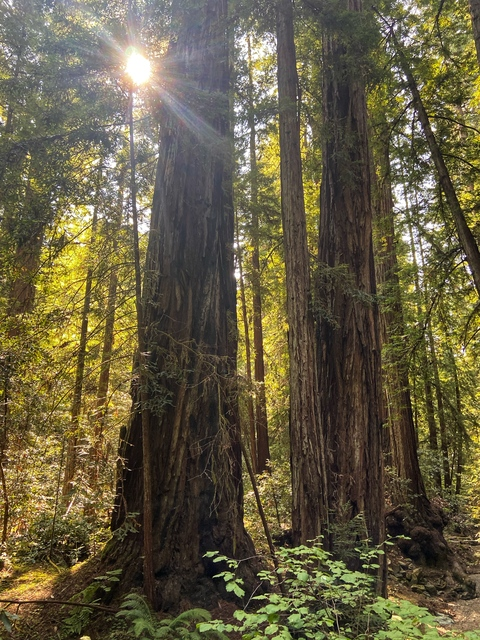 Leaked u64015259 header onlyfans leaked