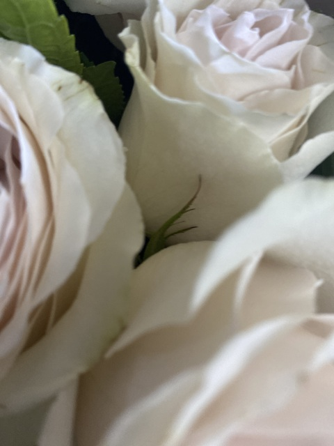 Leaked u68062898 header onlyfans leaked