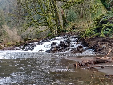 Leaked u70569672 header onlyfans leaked