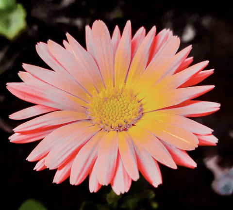 Leaked u84128471 header onlyfans leaked