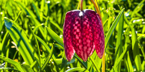 Leaked u90193972 header onlyfans leaked