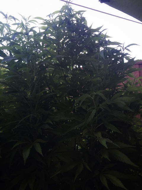 Leaked u95804075 header onlyfans leaked