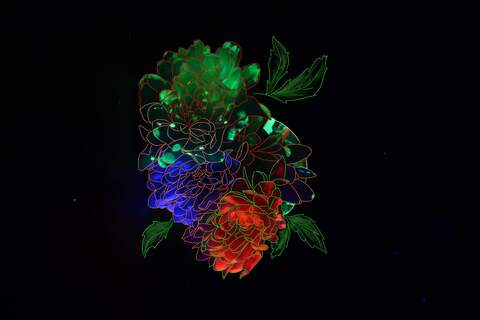 Leaked u95821933 header onlyfans leaked