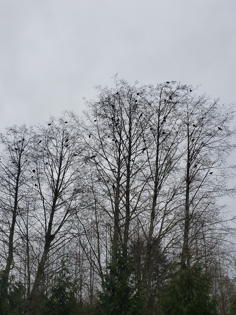 Leaked unspokendreams header onlyfans leaked