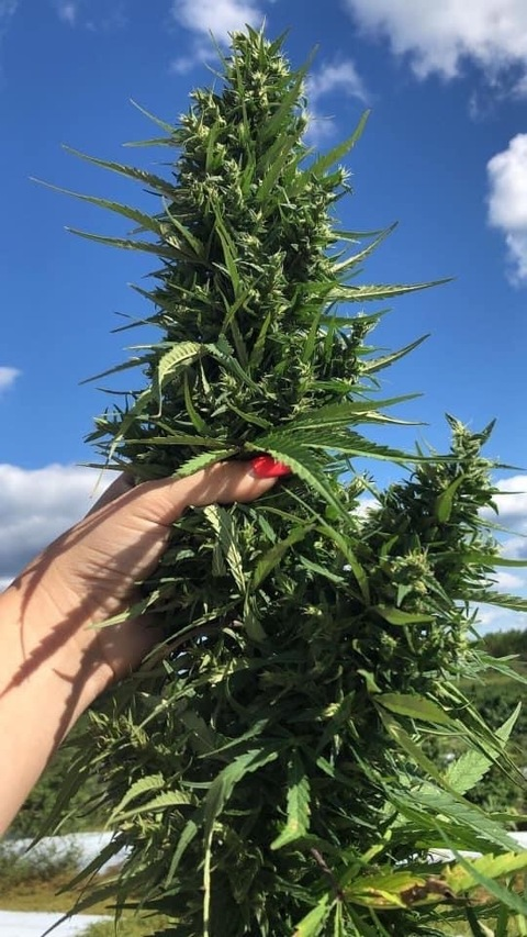 Leaked uspellbounned header onlyfans leaked