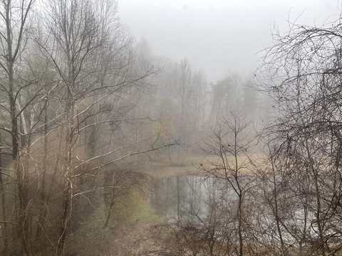 Leaked valeari header onlyfans leaked