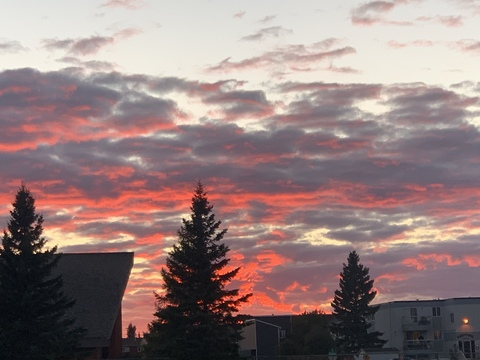 Leaked validgenez header onlyfans leaked