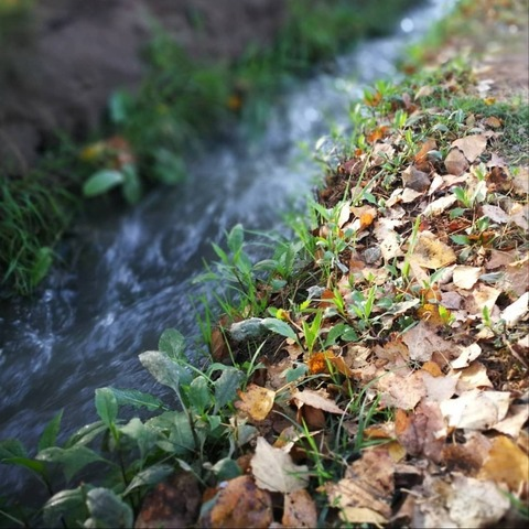 Leaked vampinyaw header onlyfans leaked